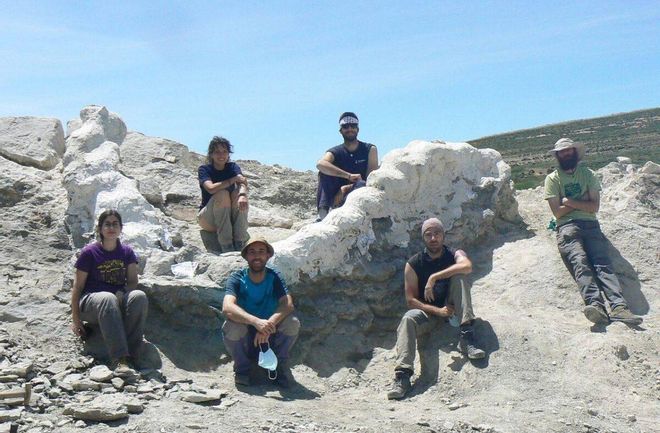 Descubren en Teruel la columna vertebral de un dinosaurio gigante Descubren en Teruel la columna vertebral de un dinosaurio gigante