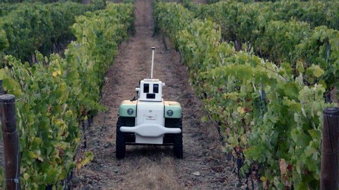 Así funciona el robot inventado en Valencia para cuidar los viñedos Así funciona el robot inventado en Valencia para cuidar los viñedos