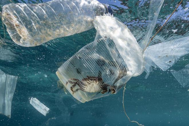 El volumen de plástico en los océanos podría cuadruplicarse en 2050