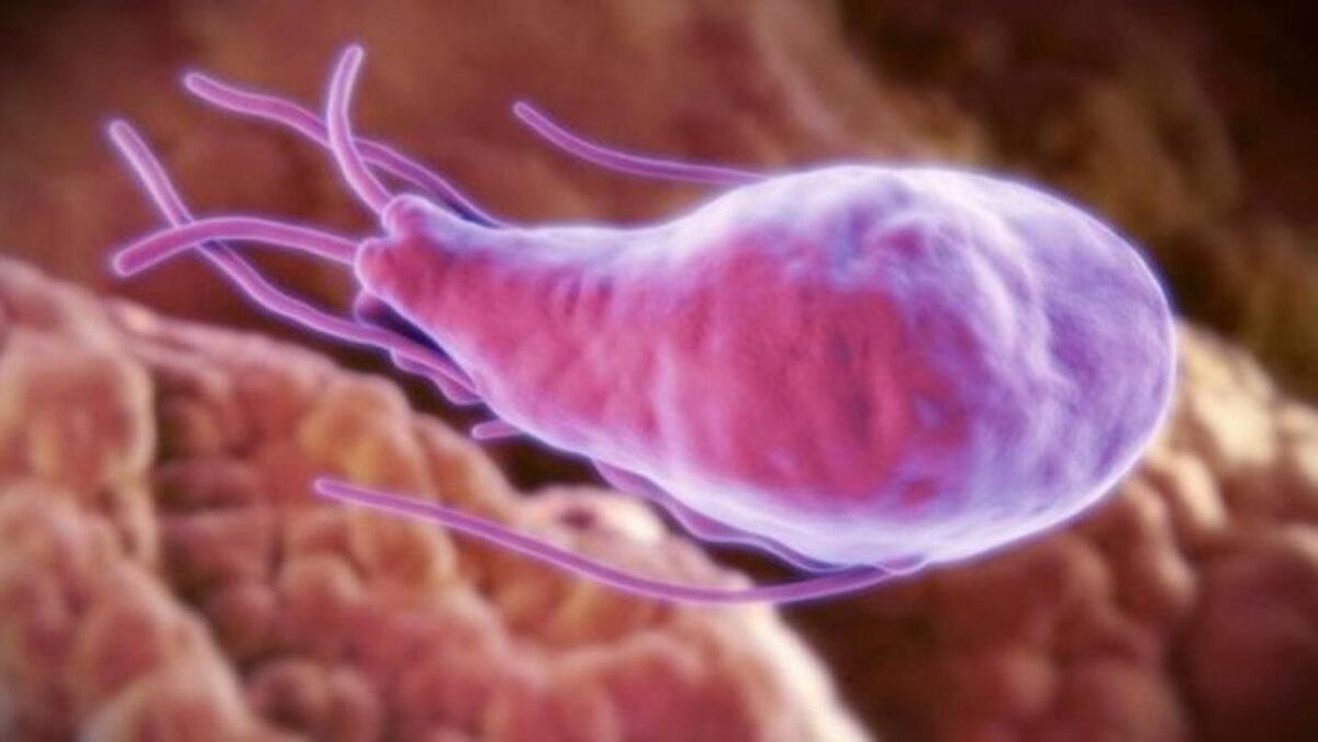 ¿Qué es la diarrea del viajero y cómo te afecta? ¿Qué es la diarrea del viajero y cómo te afecta?