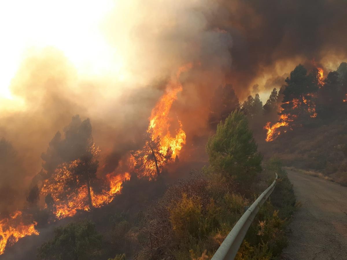 El viento y las altas temperaturas complican el incendio de Castellón