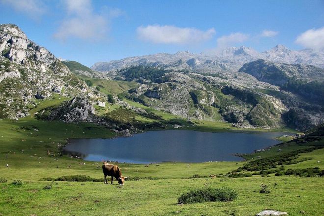 Los lagos se quedan sin oxígeno por el cambio climático Los lagos se quedan sin oxígeno por el cambio climático